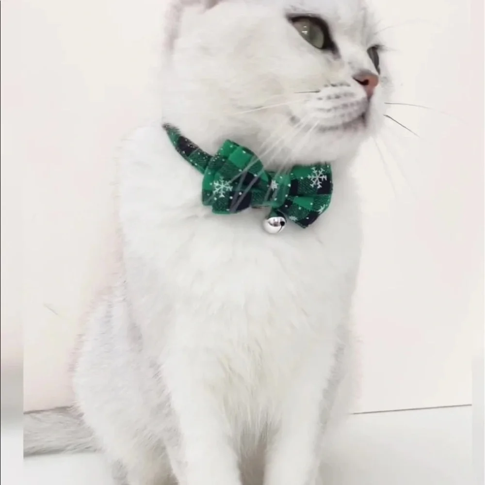 PET COLLAR